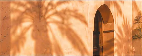 Ombre d'un palmier sur une façade en terre — atmosphère de Marrakech